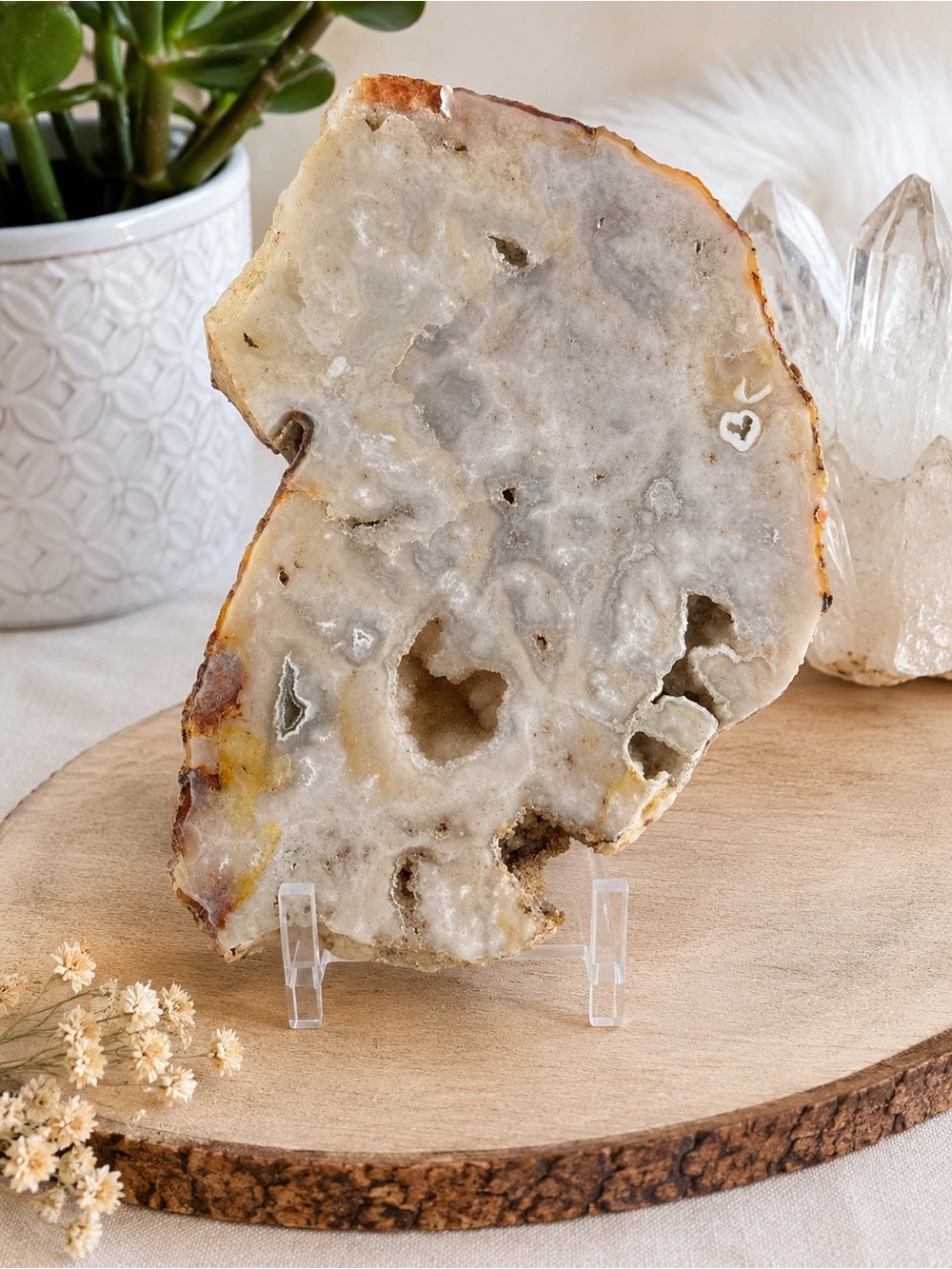 Large Agate Druzy Quartz Geode Slab 4lb 11oz Crystal Display Decor
